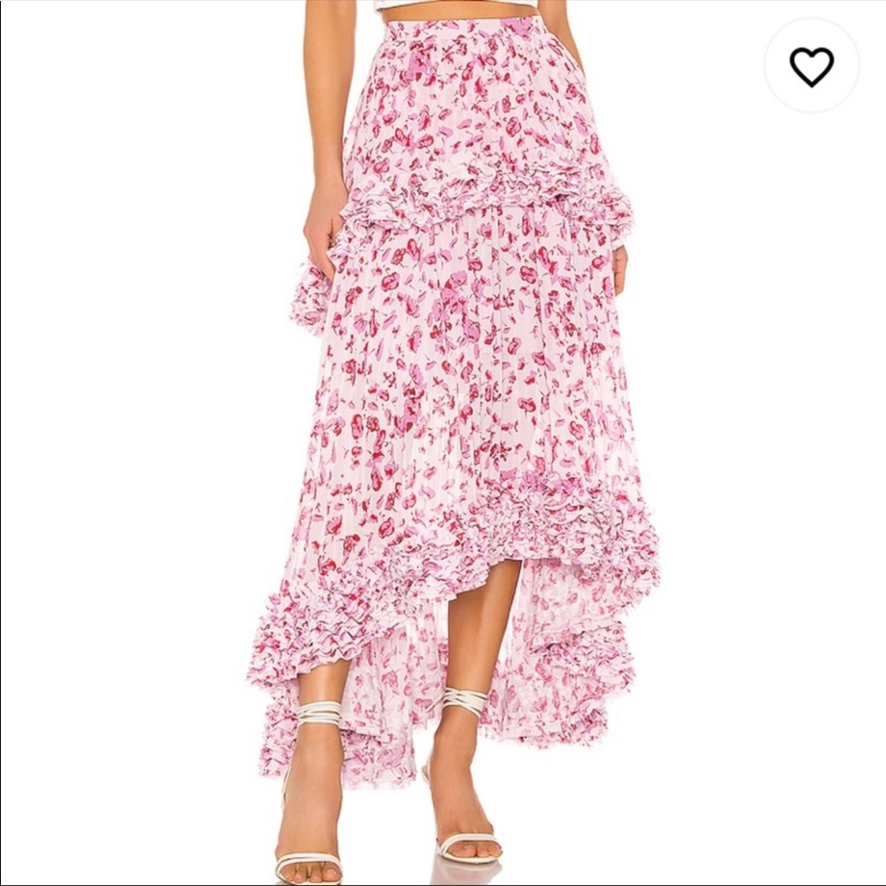 NWT Amur Nita Floral Skirt - Picture 3 of 6